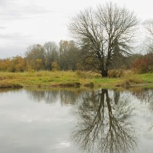 Meet your Posher, Sierra